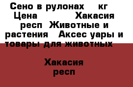 Сено в рулонах 500кг. › Цена ­ 1 500 - Хакасия респ. Животные и растения » Аксесcуары и товары для животных   . Хакасия респ.